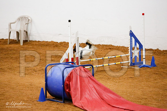 _JJ_8784-FWAgilJun2015-HR3