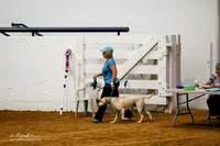 JWW Exc 20 Fri Kim Johnson Ditto