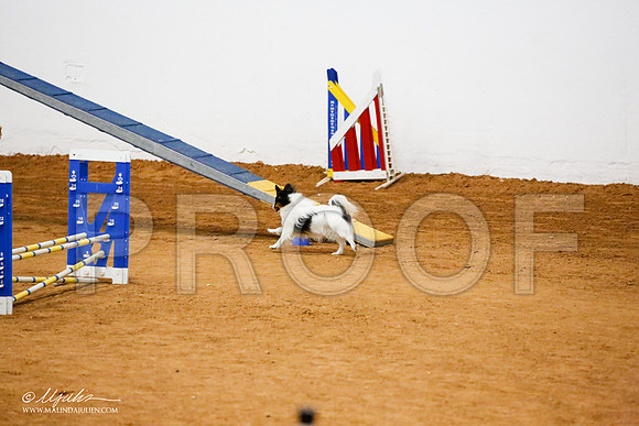 _JJ_8785-FWAgilJun2015-HR3