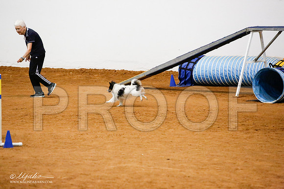 _JJ_8791-FWAgilJun2015-HR3