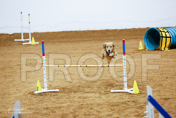 _CL_8803-FWAgilJun2015-HR3