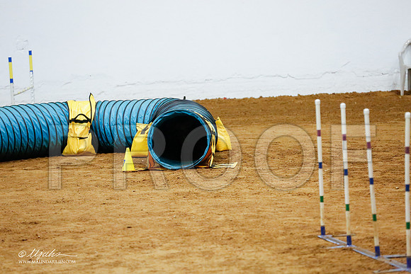 _CL_8809-FWAgilJun2015-HR3