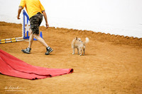 Std Exc 4 Fri  Elizabeth Evans Andretti