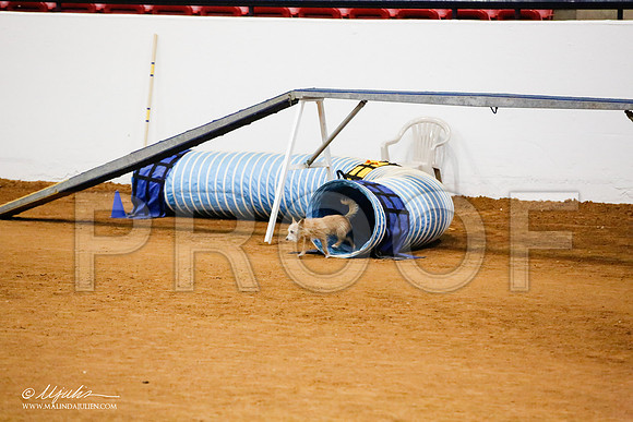 _JJ_9819-FWAgilJun2015-HR3