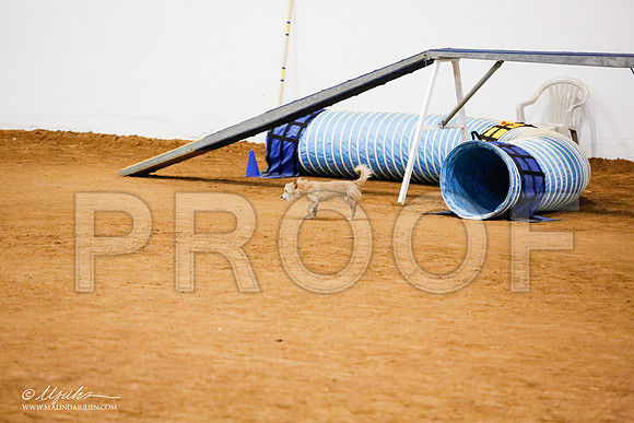 _JJ_9820-FWAgilJun2015-HR3