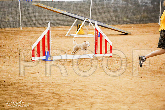 _JJ_9829-FWAgilJun2015-HR3