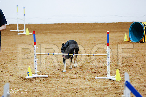 _CL_9594-FWAgilJun2015-HR3