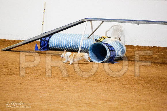 _JJ_9744-FWAgilJun2015-HR3