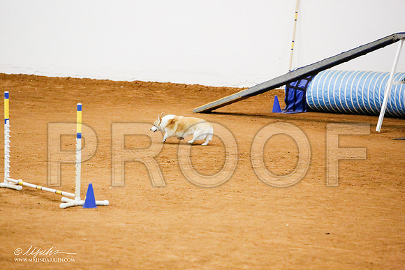_JJ_9746-FWAgilJun2015-HR3