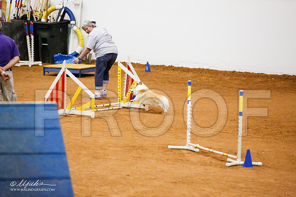 _JJ_9747-FWAgilJun2015-HR3