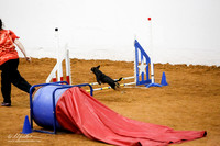 Std Exc 8 Fri   Kacey McKinney Pancho