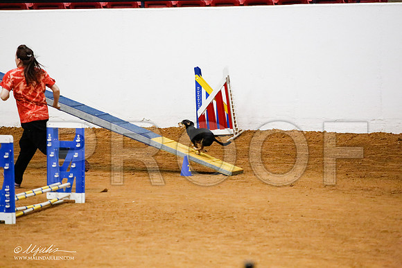 _JJ_0003-FWAgilJun2015-HR3