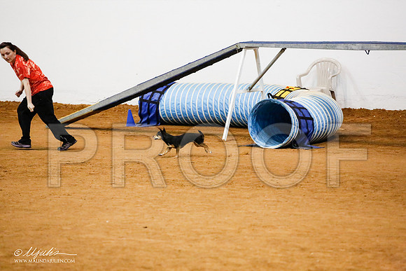 _JJ_0008-FWAgilJun2015-HR3