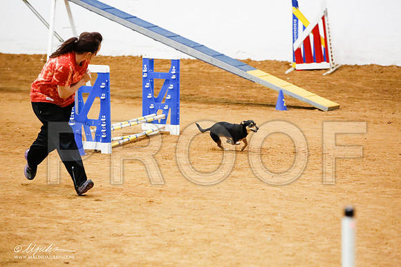 _JJ_0022-FWAgilJun2015-HR3