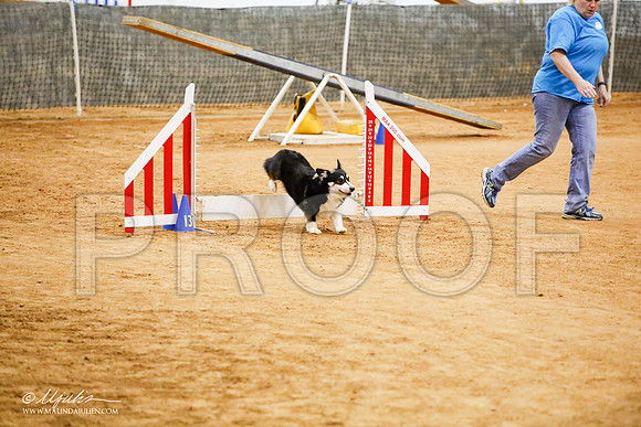 _JJ_1296-FWAgilJun2015-HR3