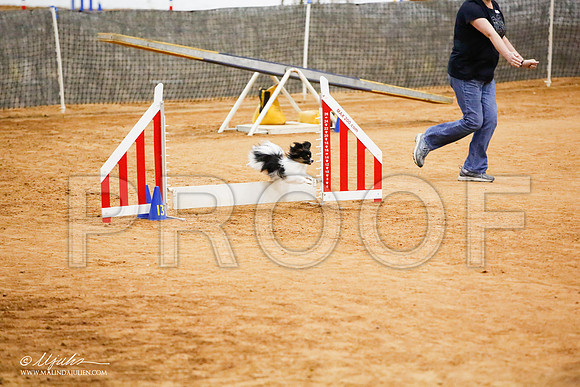 _JJ_0175-FWAgilJun2015-HR3
