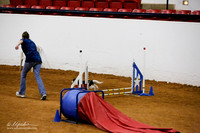 Std Exc 8 Fri  Cathy Teff Spike