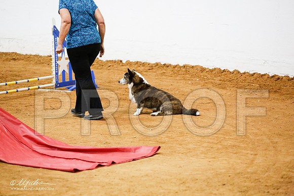 _JJ_0914-FWAgilJun2015-HR3