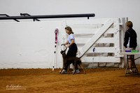 JWW Exc 24 Fri janet Balke Bree