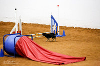 Std Exc 8 Fri  Holly Faught Homer