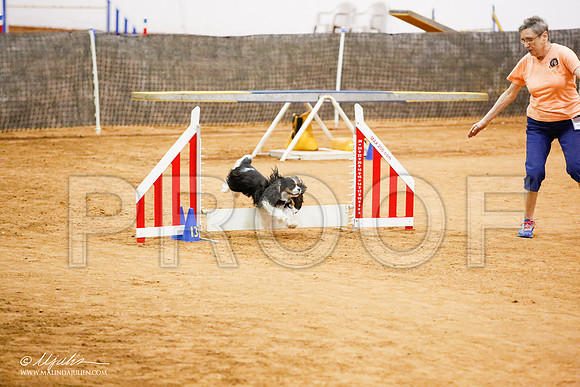 _JJ_1101-FWAgilJun2015-HR3