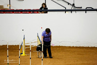 JWW Nov 20 Fri Sandra Holubec Draco