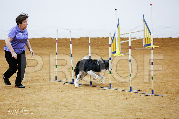 _CL_4432-FWAgilJun2015-HR3