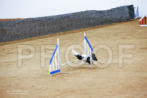 _CL_4162-FWAgilJun2015-HR3