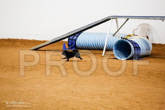 _JJ_0713-FWAgilJun2015-HR3