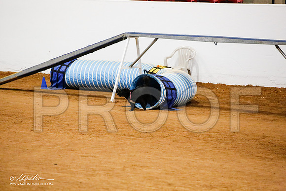 _JJ_0975-FWAgilJun2015-HR3