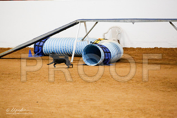 _JJ_0084-FWAgilJun2015-HR3