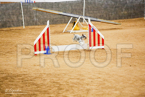 _JJ_1038-FWAgilJun2015-HR3