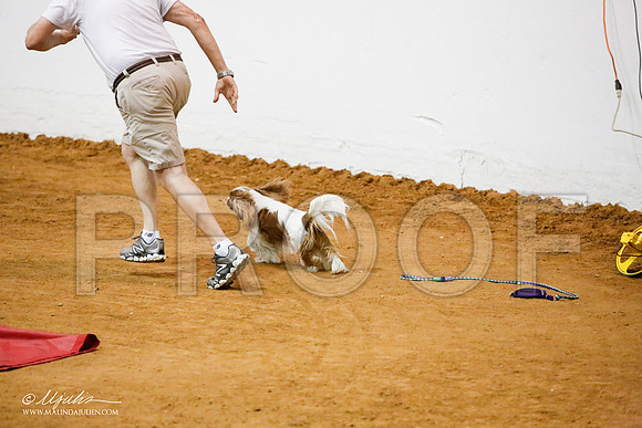 _JJ_0401-FWAgilJun2015-HR3