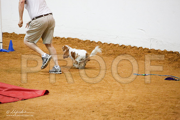 _JJ_0402-FWAgilJun2015-HR3