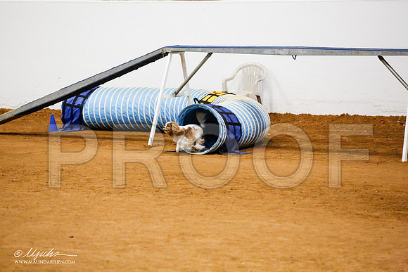 _JJ_0411-FWAgilJun2015-HR3