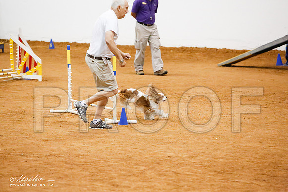_JJ_0425-FWAgilJun2015-HR3