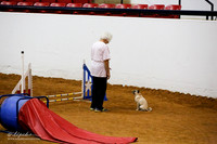 Std Exc 8 Fri Willie Meyers Puggles