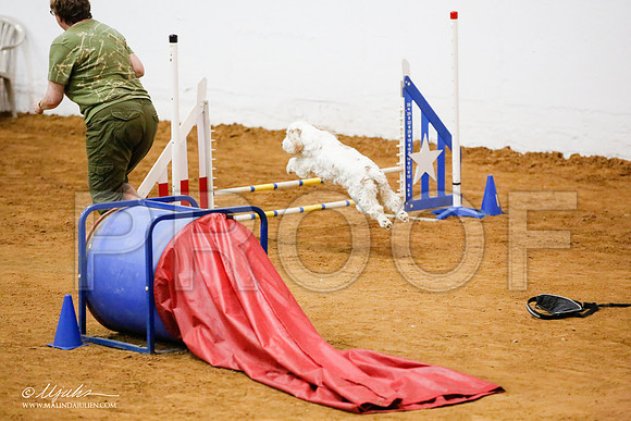 _JJ_8853-FWAgilJun2015-HR3