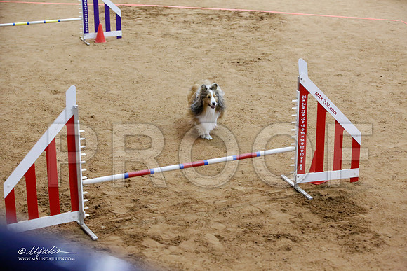 _JJ_6289-FWAgilJun2015-HR3
