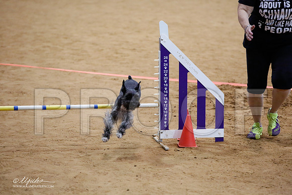 _JJ_6278-FWAgilJun2015-HR3