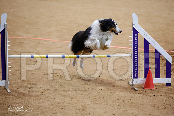 _JJ_6366-FWAgilJun2015-HR3
