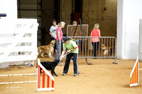 Fast Exc 20 Sat Anne Miller Hemi