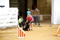 Fast Exc 20 Sat Donna Ivy Izzy
