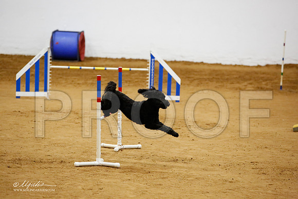 _JJ_6414-FWAgilJun2015-HR3
