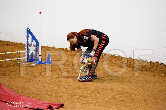 _JJ_9403-FWAgilJun2015-HR3