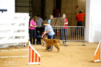 Fast Exc 24 Sat Donna Ward Ruger