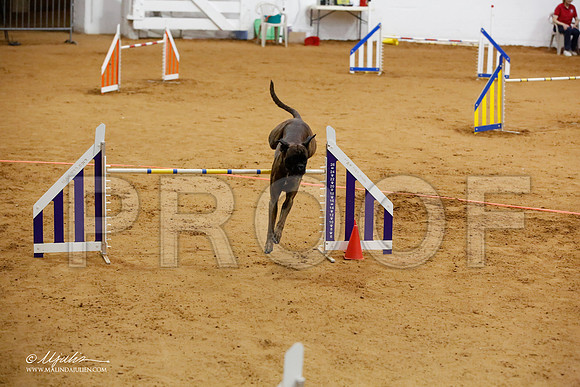 _JJ_6689-FWAgilJun2015-HR3