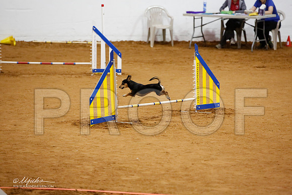 _JJ_6178-FWAgilJun2015-HR3