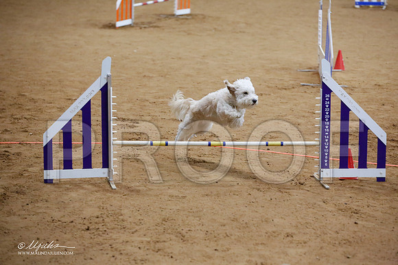 _JJ_6857-FWAgilJun2015-HR3