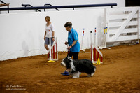 JWW Exc 16 Sat Ann Chandoha Dru